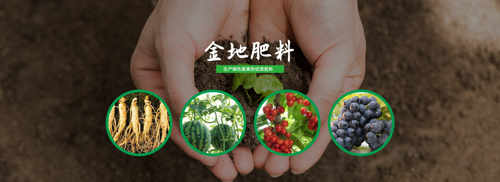 庄河加盟蔬菜育苗土厂家