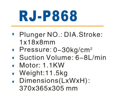 RJ-P868